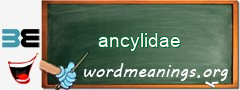 WordMeaning blackboard for ancylidae